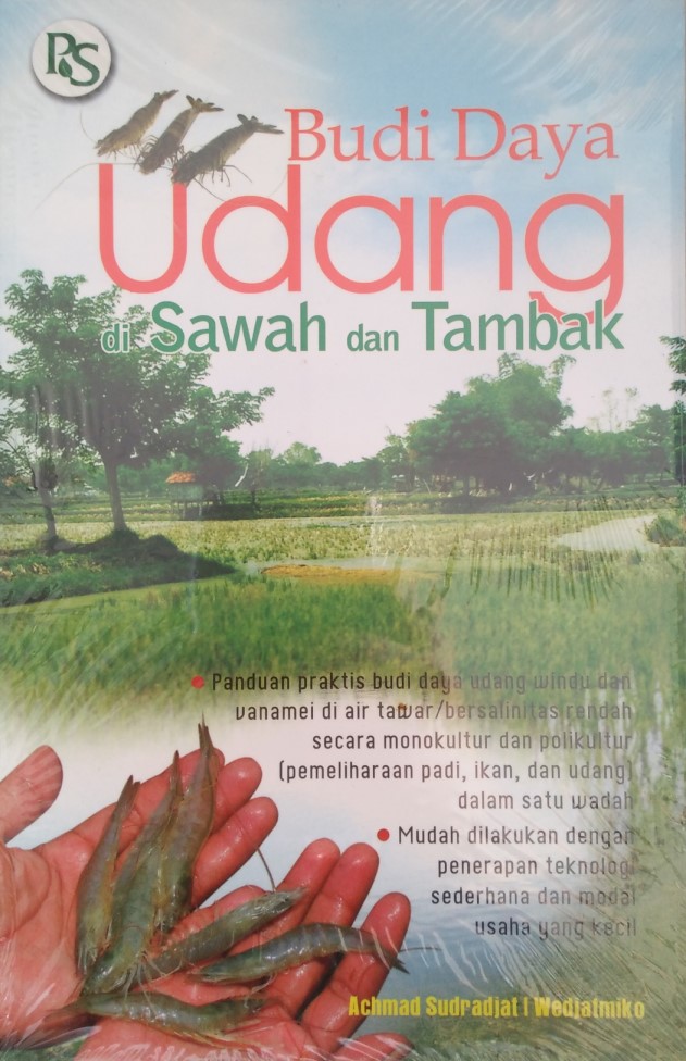 Budi Daya Udang di Sawah dan Tambak